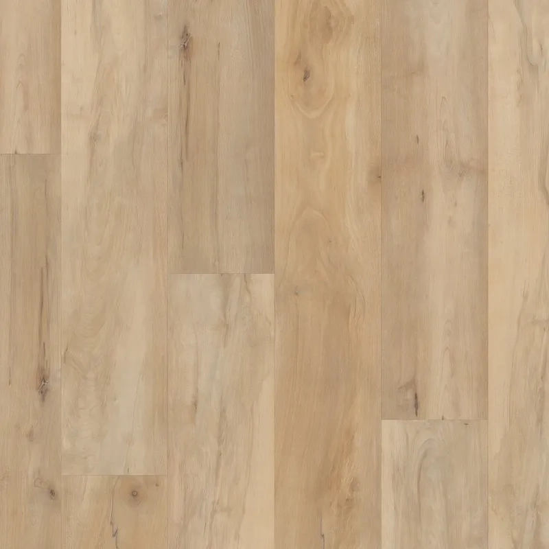 Brookfield Maple Sample